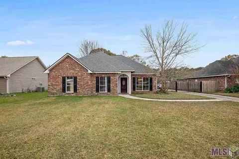 13232 David Lee Dr, Walker, LA 70785 photo 1