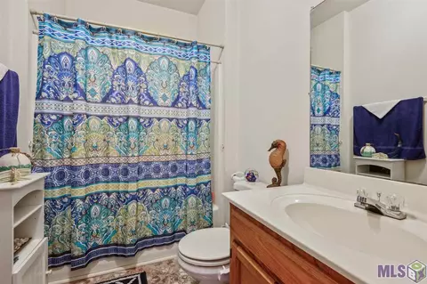 13133 Petite Dr, Maurepas, LA 70449 photo 14