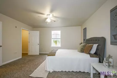 30337 Jackson, Walker, LA 70785 photo 13