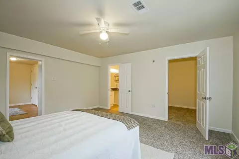 30337 Jackson, Walker, LA 70785 photo 14
