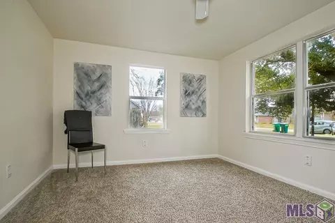 30337 Jackson, Walker, LA 70785 photo 20