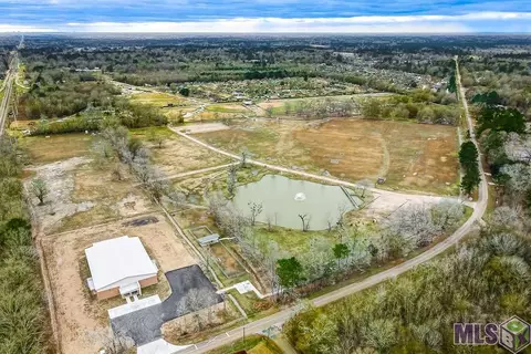 30337 Jackson, Walker, LA 70785 photo 29