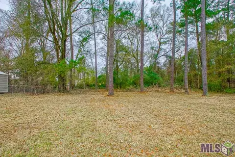 30337 Jackson, Walker, LA 70785 photo 25
