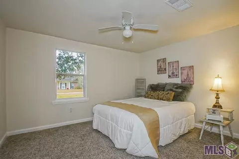 30337 Jackson, Walker, LA 70785 photo 18