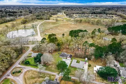 30337 Jackson, Walker, LA 70785 photo 28