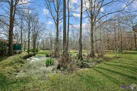 20308 La Hwy 22, Maurepas, LA 70449 photo 30