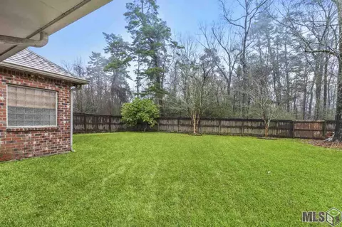 11370 Peaks Ave, Walker, LA 70785 photo 20