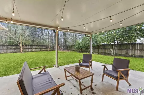 11370 Peaks Ave, Walker, LA 70785 photo 19