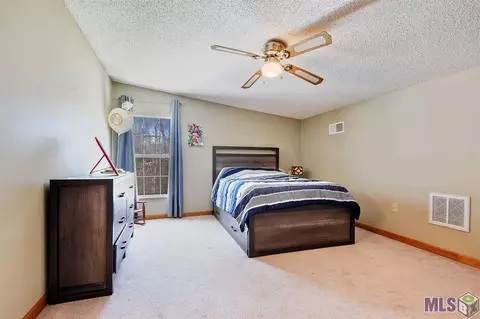 12365 Clanton Dr, Walker, LA 70785 photo 11