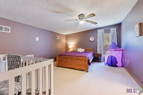 12365 Clanton Dr, Walker, LA 70785 photo 9