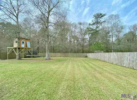 32909 Briar Oak Dr, Walker, LA 70785 photo 14