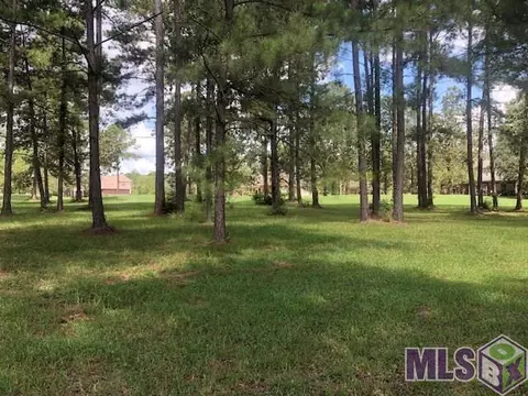 30983 Wild Iris Way, Springfield, LA 70462 photo 1