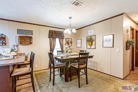 14380 Salt Dome Rd, Walker, LA 70785 photo 9