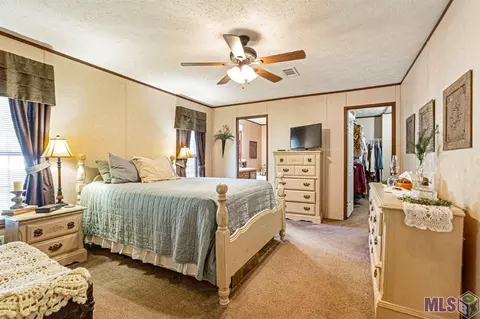 14380 Salt Dome Rd, Walker, LA 70785 photo 10