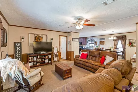 14380 Salt Dome Rd, Walker, LA 70785 photo 4
