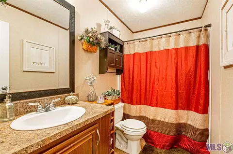 14380 Salt Dome Rd, Walker, LA 70785 photo 14