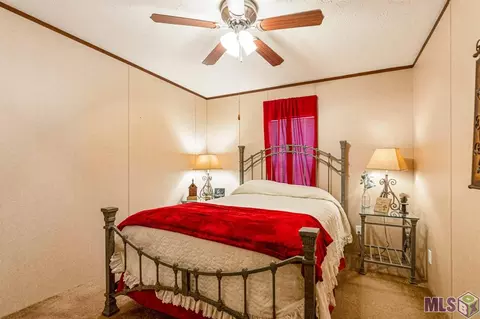 14380 Salt Dome Rd, Walker, LA 70785 photo 13