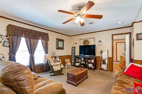 14380 Salt Dome Rd, Walker, LA 70785 photo 3
