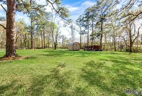 14380 Salt Dome Rd, Walker, LA 70785 photo 16