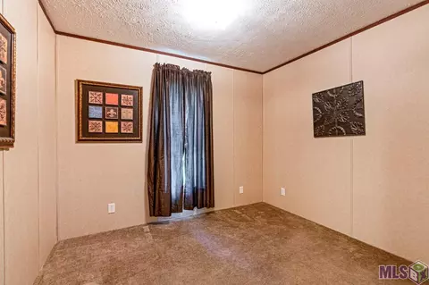 14380 Salt Dome Rd, Walker, LA 70785 photo 15