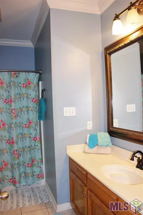 30388 Jackson Ave, Walker, LA 70785 photo 12