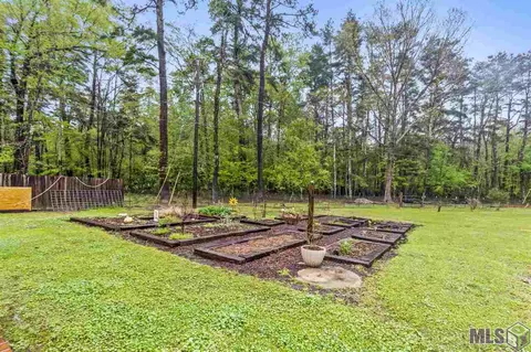 32355 Holm Rd, Walker, LA 70785 photo 37