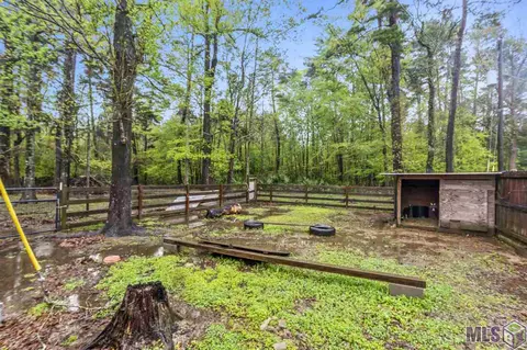 32355 Holm Rd, Walker, LA 70785 photo 39