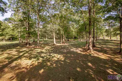 34440 N Corbin Rd, Walker, LA 70785 photo 10