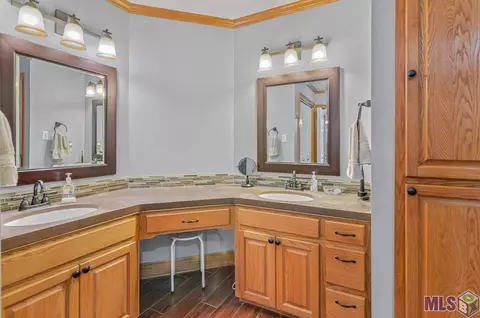 19099 River Bend Rd, Maurepas, LA 70449 photo 13