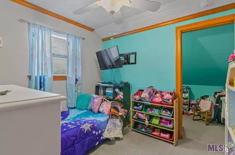 19099 River Bend Rd, Maurepas, LA 70449 photo 17