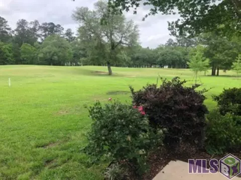 23757 Carter Trce, Springfield, LA 70462 photo 19