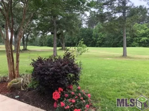 23757 Carter Trce, Springfield, LA 70462 photo 18