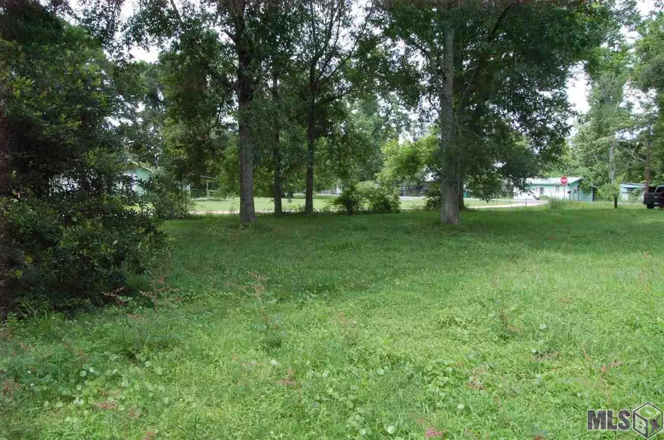  19670 Old Highway 77, Grosse Tete, LA 70740 photo 6