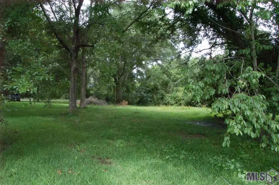  19670 Old Highway 77, Grosse Tete, LA 70740 photo 5