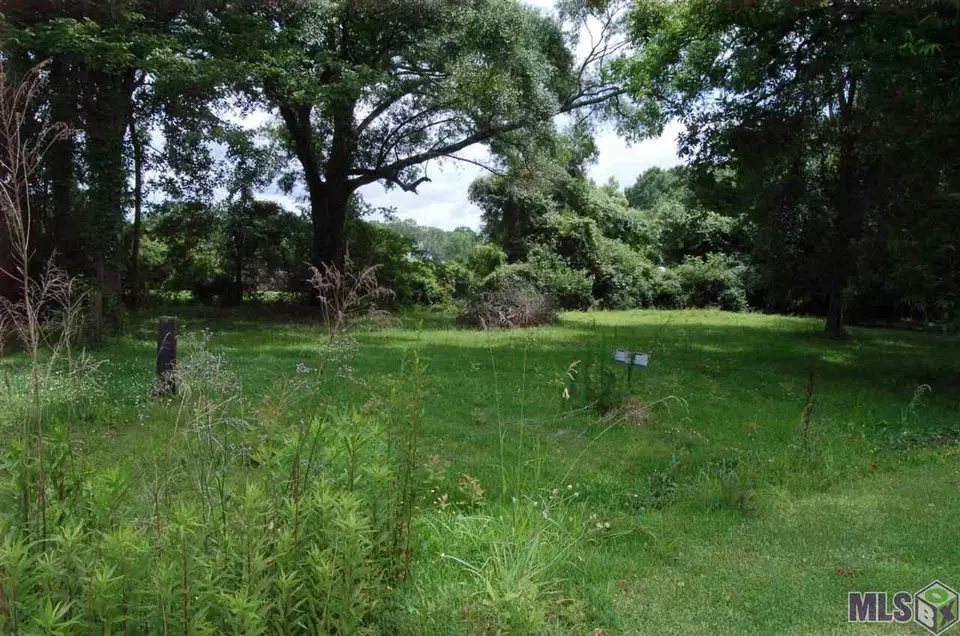  19670 Old Highway 77, Grosse Tete, LA 70740 photo 3