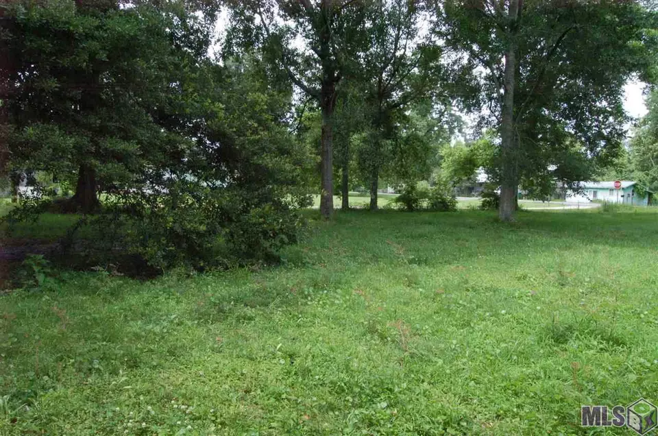  19670 Old Highway 77, Grosse Tete, LA 70740 photo 16