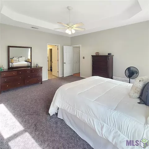 12301 Cameron Ln, Walker, LA 70785 photo 14