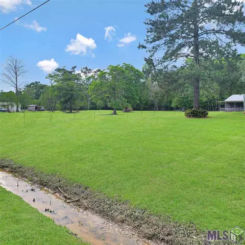 12301 Cameron Ln, Walker, LA 70785 photo 27