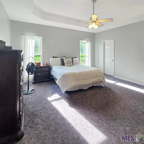 12301 Cameron Ln, Walker, LA 70785 photo 13