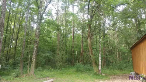 37735 Joe Lee Rd, Walker, LA 70785 photo 4
