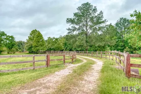 32020 Butch Bennett Rd, Walker, LA 70785 photo 6