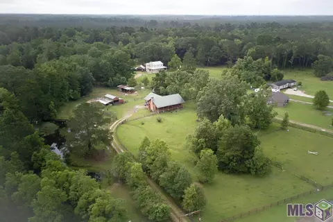 32020 Butch Bennett Rd, Walker, LA 70785 photo 27