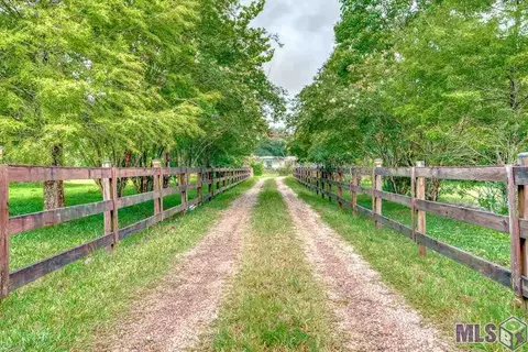 32020 Butch Bennett Rd, Walker, LA 70785 photo 7