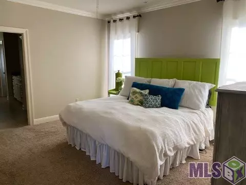 13220 Williamsburg Dr, Walker, LA 70785 photo 3