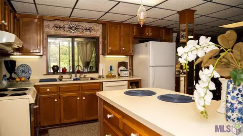 17357 Cline Dr, Maurepas, LA 70449 photo 8