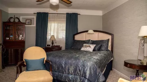 17357 Cline Dr, Maurepas, LA 70449 photo 13