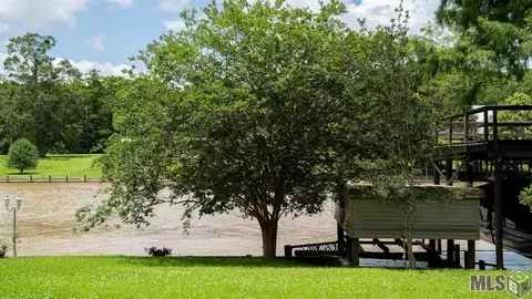 17357 Cline Dr, Maurepas, LA 70449 photo 24