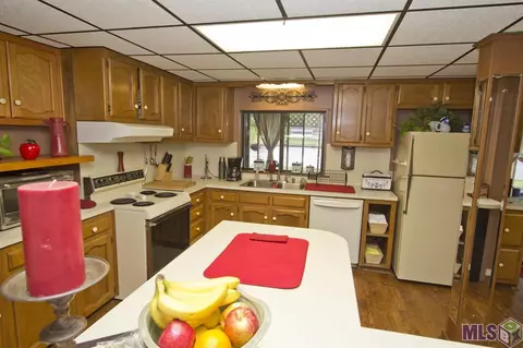 17357 Cline Dr, Maurepas, LA 70449 photo 6