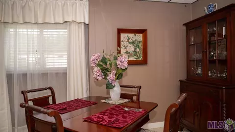 17357 Cline Dr, Maurepas, LA 70449 photo 11