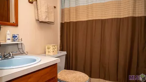 17357 Cline Dr, Maurepas, LA 70449 photo 19